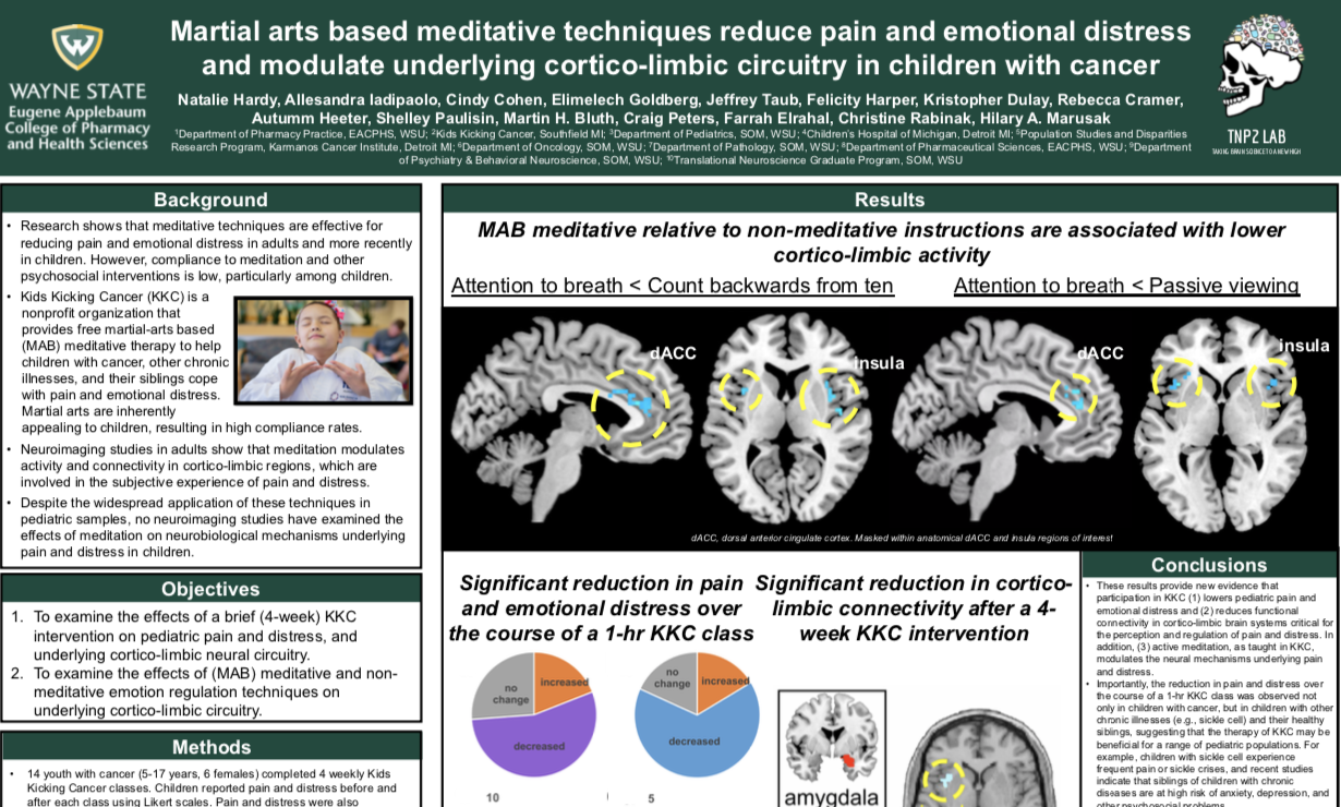 Martial arts based meditative techniques reduce pain and emotional distress